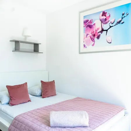 Alexandria - Domki, Apartamenty, Z Basenem Guest house Karwia
